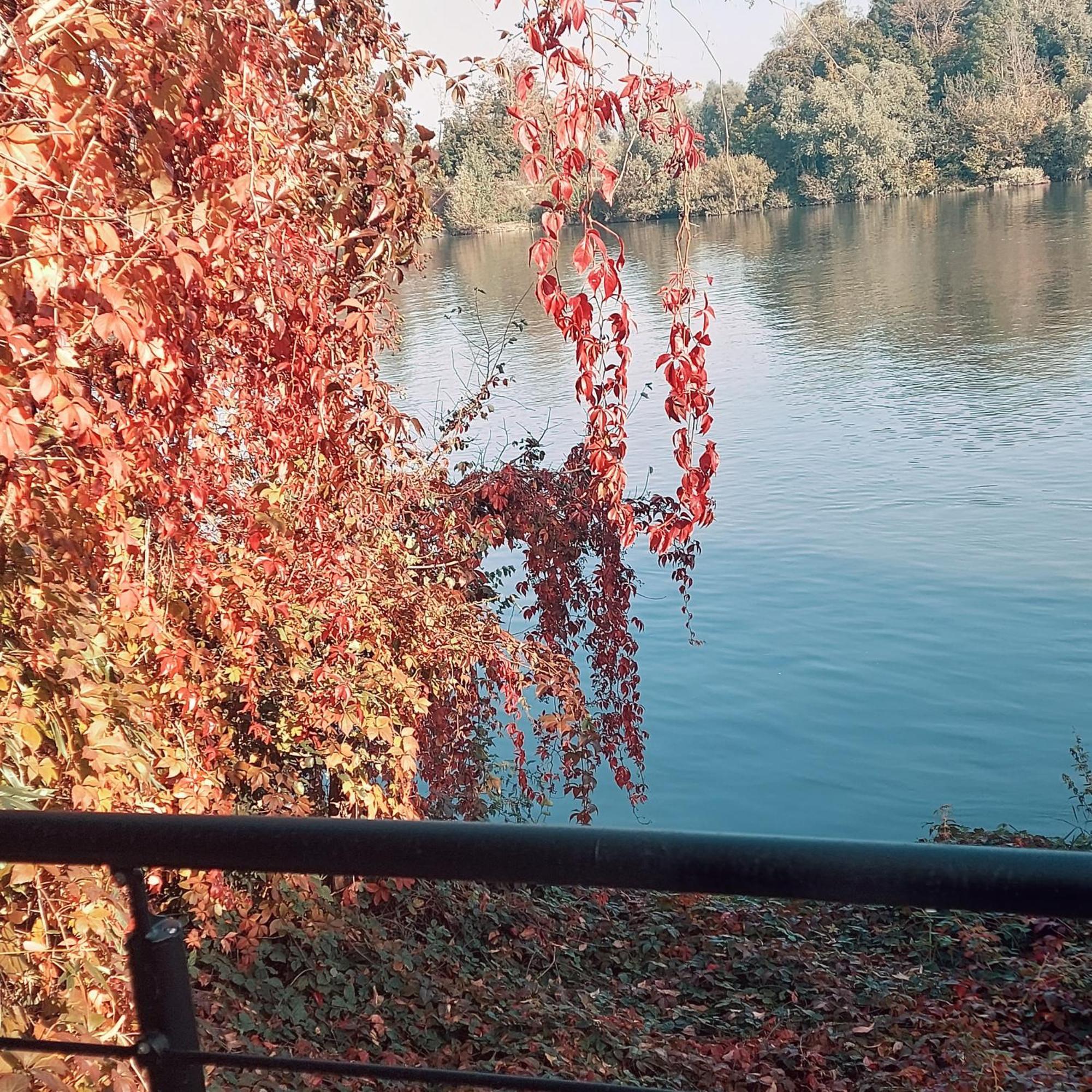 Les Seringats Poissy Bagian luar foto
